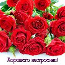 ���� ��������, ������ - ��������� 20 ������� 2015 � ������ �������� ��������
