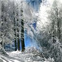  Evgen, , 57  -  19  2016    