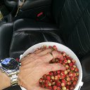 ���� ������, ����, 52 ���� - ��������� 26 �������� 2015