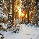  ******, , 53  -  29  2015    