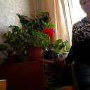 ���� �����, ���������, 52 ���� - ��������� 1 ������� 2015 � ������ ������ ��������