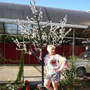 ���� �����, ����� - ��������� 23 ������ 2016 � ������ ���� ����������