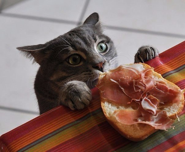  :).#@bon.appetit