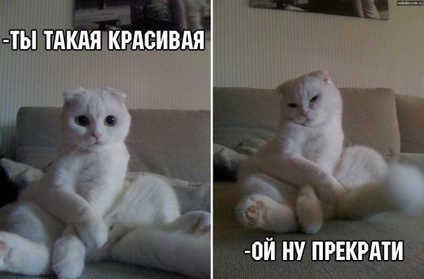   | , ,  - 9  2015  22:02