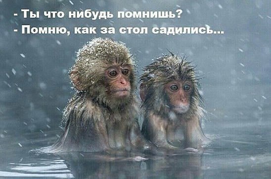 Winter - 7  2016  00:39