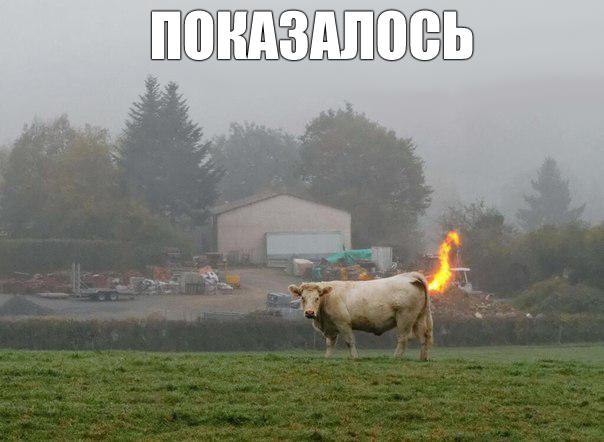  - 10  2015  10:15