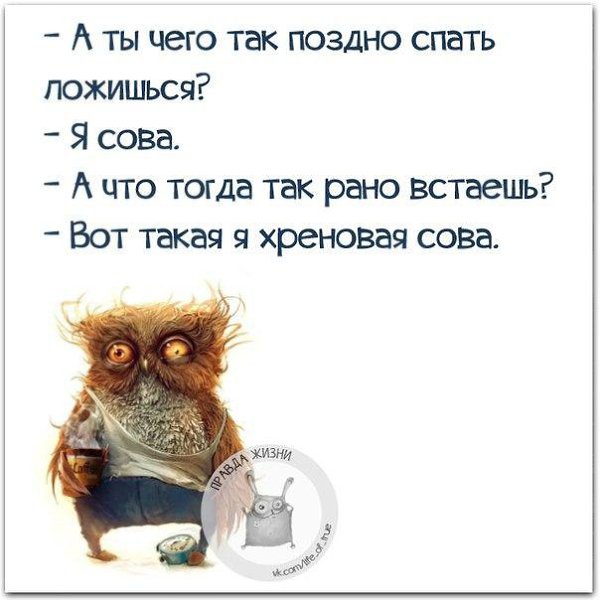   - 6  2016  10:41