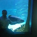 ���� �������, ������, 51 ��� - ��������� 20 ������ 2015 � ������ ����������� 11.11.15�