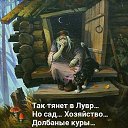  , , 56  -  17  2016    