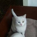 ���� �����, ������ - ��������� 29 ������� 2015 � ������ ���� ����������