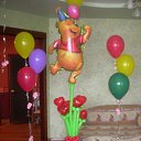 ���� ���, �����-���������, 43 ���� - ��������� 1 ������� 2016 � ������ ������� �� ��������� �����