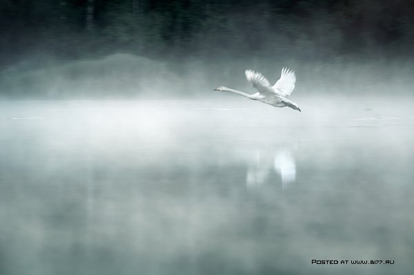 A l o n e -  Mikko Lagerstedt - 5