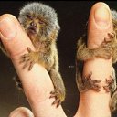 ���� ���������, ������ - ��������� 3 ������ 2016 � ������ ������ ��������