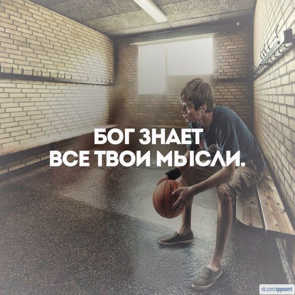 SportFeed - 3  2015  13:37