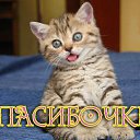 ���� ������, ������ ��������, 63 ���� - ��������� 26 ������ 2015 � ������ �������� ��������