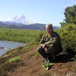 ����������, �������, 62 ����