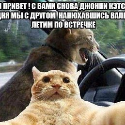 ����, ��������, 46 ���