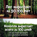 ���� ������, ������, 41 ��� - ��������� 26 ������� 2015 � ������ ������ ��������
