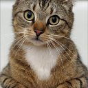 ���� ������, ��������� - ��������� 28 ������ 2016