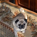 �������� �� ������� ���� ����������