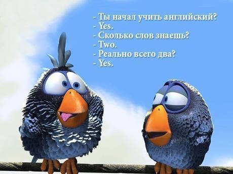   - 5  2015  20:34