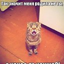 ���� ������, ������-��-����, 53 ���� - ��������� 2 ������� 2016 � ������ ���� ����������