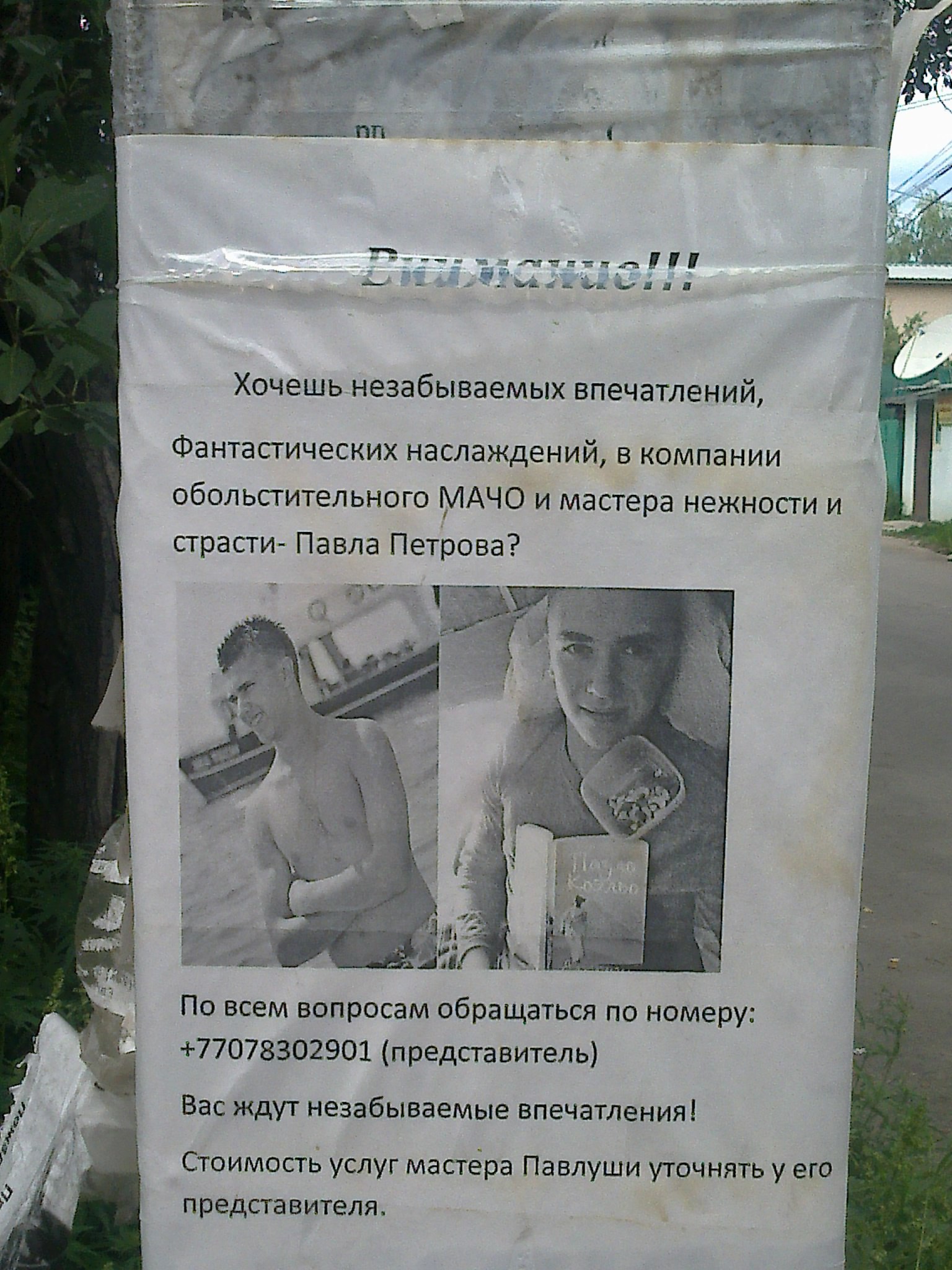 У школьников каникулы ?))