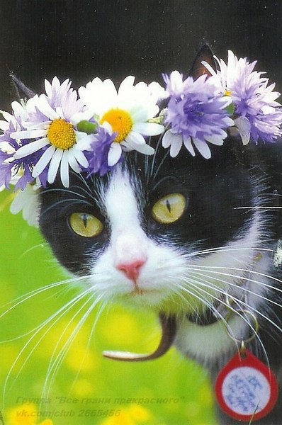  - 7  2016  05:34 - 5