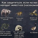 ���� ������, �������, 52 ���� - ��������� 16 ������� 2015 � ������ ������� �������