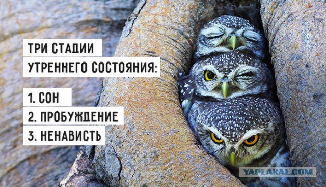   - 25  2015  12:40