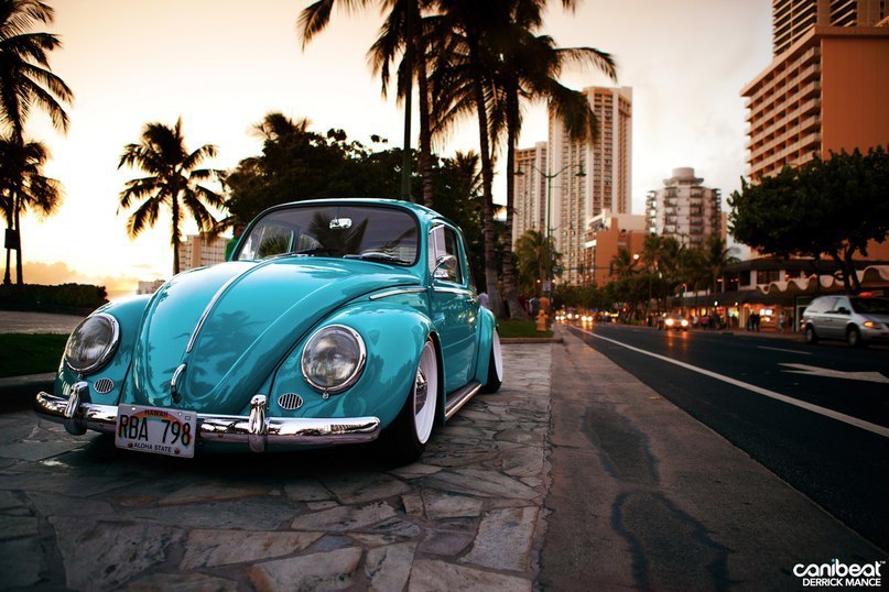 Volkswagen Beetle (Kfer). - 2