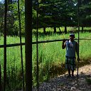 ���� �����, ������ - ��������� 29 ������ 2016 � ������ ���� ����������