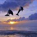 ���� Vladimir, ������, 55 ��� - ��������� 31 ������ 2016 � ������ �Cover Photos�