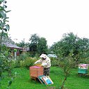 ���� ���������, ���������, 49 ��� - ��������� 5 ������� 2015 � ������ ���� ����������