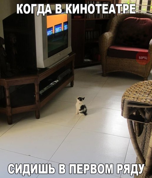    :-) - 15  2015  15:35