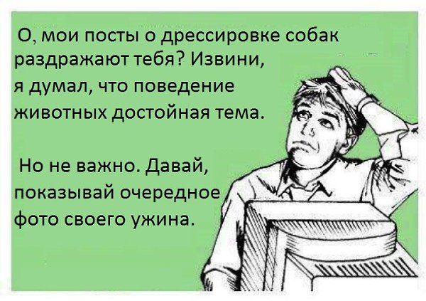 - 13  2015  00:16