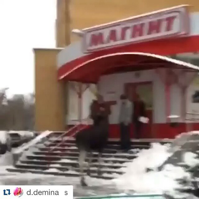 ����� ���� ����� ������ ����))))) @ ������� ������, ��. ��������, �������