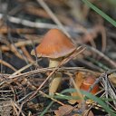 ���� �, �������� - ��������� 12 ������� 2015 � ������ ���������