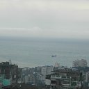  , , 73  -  8  2016      2016,