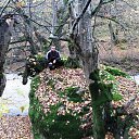 ���� Hwseynov, ����, 56 ��� - ��������� 15 ������ 2016