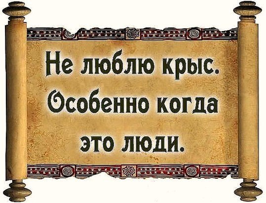 .https://fotostrana.ru/away?to=/sl/kxC2 - 26  2015  18:58