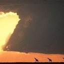 ���� �������, �����������, 41 ��� - ��������� 28 ������� 2015 � ������ ������ ��������