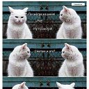 ���� Anton, ������ - ��������� 5 ����� 2016 � ������ ������