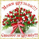 ���� �����, ���������� - ��������� 25 ������ 2015 � ������ �������� ��������
