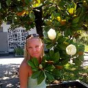  , - -  13  2015   ߻