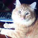  ,  -  20  2015    )))