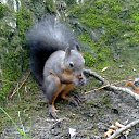 ���� ������, �����������, 58 ��� - ��������� 14 ������ 2015 � ������ ���� ����������