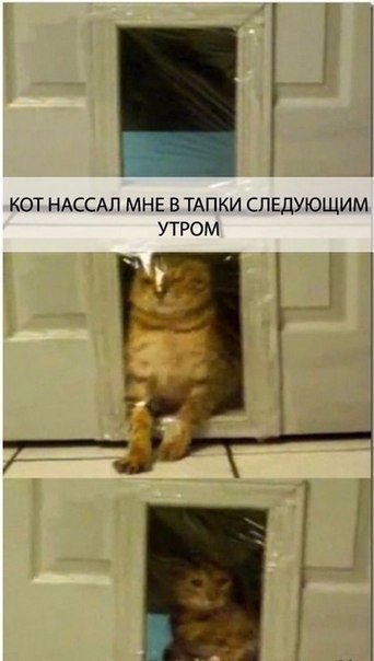     - 5