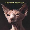 ���� ������, ������, 46 ��� - ��������� 27 ������� 2015 � ������ ���� ����������