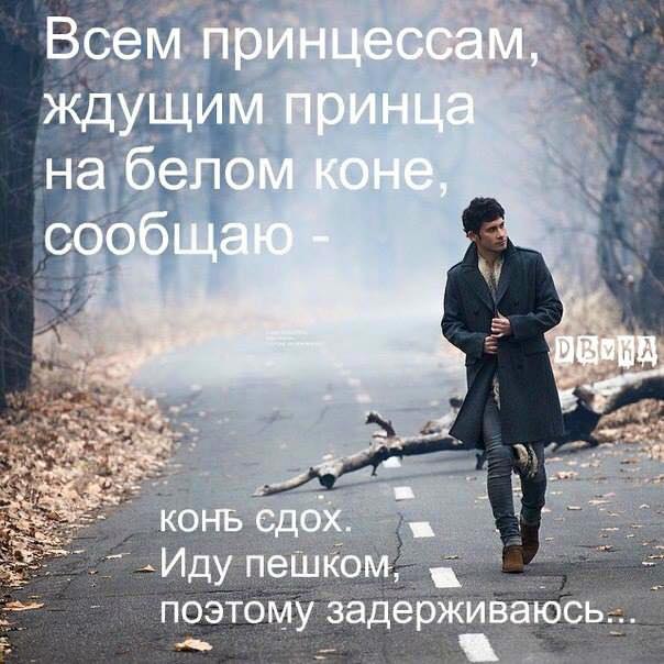   - 28  2016  18:31